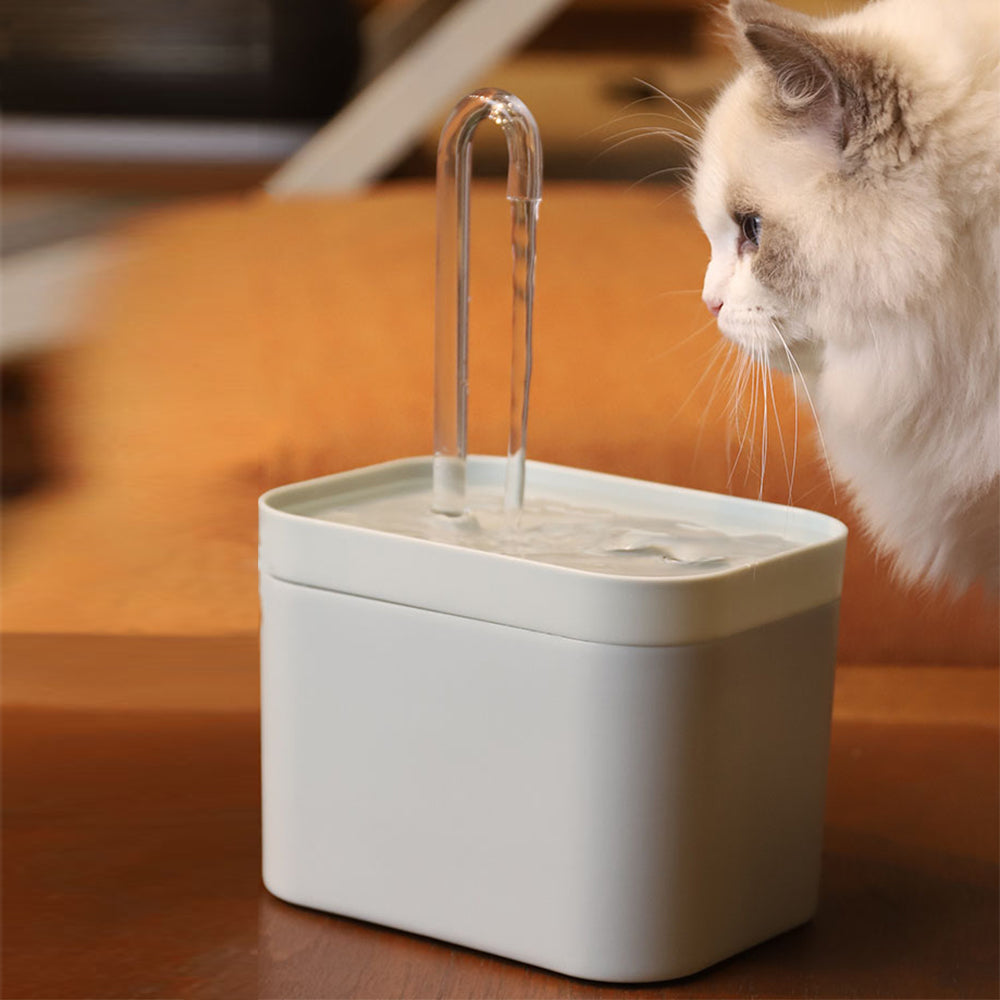 Cat Electric Water Dispenser Fountain